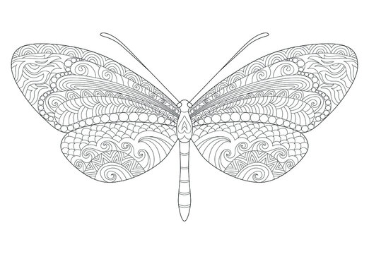Butterfly coloring page. Anti-stress coloring book for adults and children. Zentangle. Black and white moth doodle sketch. Tattoo design
