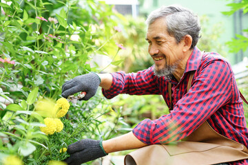 portrait a senior man decorating  flowers for maintenance as a hobby to landscape design ornamental plants in the garden.