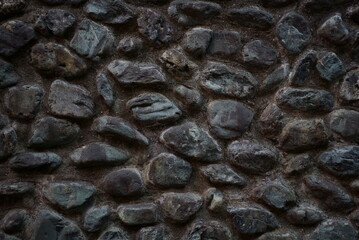 close up of a blackberry