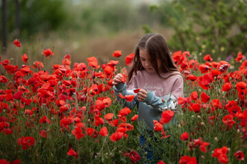 Naklejka na ściany i meble Pretty little girl on a poppy field, outdoor
