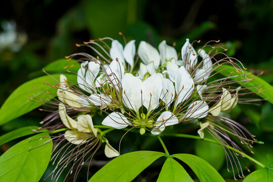 รูปภาพCrateva เลือกดูภาพถ่ายสต็อก เวกเตอร์ และวิดีโอ198 Adobe Stock