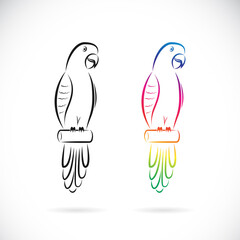Vector of two parrot design on white background. Easy editable layered vector illustration. Animals. Pet.