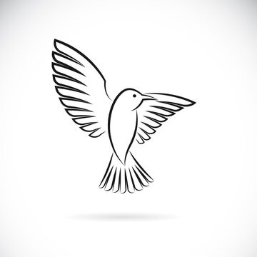 recommend clip art: Vector of bird design on white background. Easy editable layered vector illustration. Wild Animals.