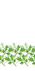 Foliate ornamental border seamless pattern. Green Floral background with leaves watercolor in hand drawn style. 