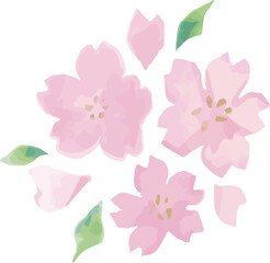 チューリップ 春 花 花束 ギフト プレゼント お祝い イラスト素材 Anniversary Wall Mural Anniversa Ribbon S