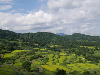 星峠の棚田（日本・新潟県）