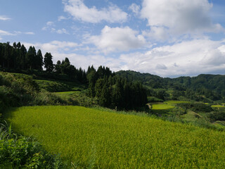 星峠の棚田（日本・新潟県）