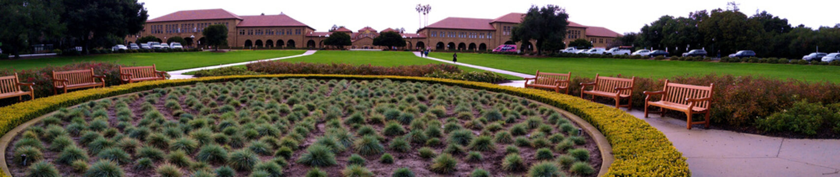 Stanford Oval in the front courtyard of Stanford University