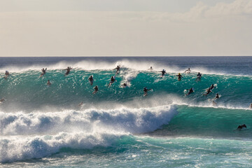Hawaiian Surf