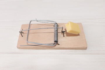 a piece of cheese lies on a mousetrap isolated on a white