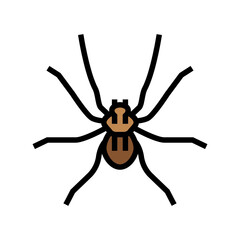spider insect color icon vector. spider insect sign. isolated symbol illustration