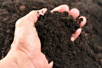 hands holding soil