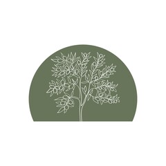 Outline art of olive tree. On green background.