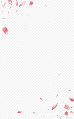 Red Petal Vector Transparent Background. Lotus