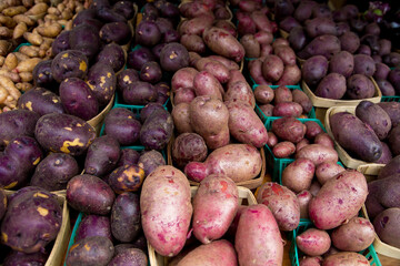 Red and white potatoes in green containers on market stand