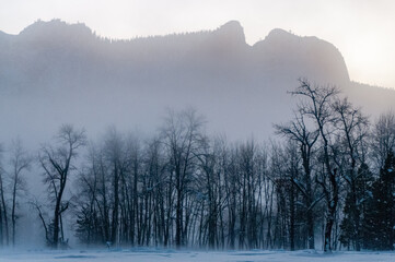 Fototapeta na wymiar An eerie mist covers the floor of yosemite valley, while a thin layer of snow outlines the trees in during a beautiful sunset.