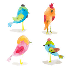 Colorful birds set isolated on white background. Easter bird collection in a cartoon style