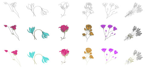 Flowers flat and sketch vector illustration set. Floral simple bright and colour picture of garden flowers, rose, poppy, lavender, bell, peony, carnation.