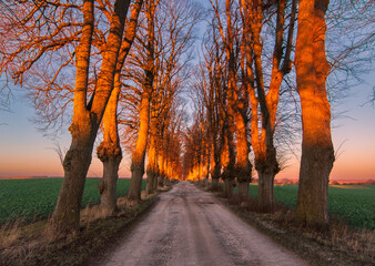 Naklejka na ściany i meble autumn landscape with a road in the sunset