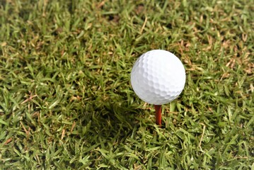 golf ball on tee