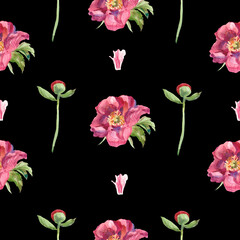 Watercolor seamless pattern with pink peonies on black background. Spring, botanical, floral hand painted print.Designs for scrapbooking, packaging, wrapping paper, social media, textiles, fabric.