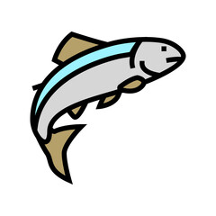 salmon fish color icon vector. salmon fish sign. isolated symbol illustration