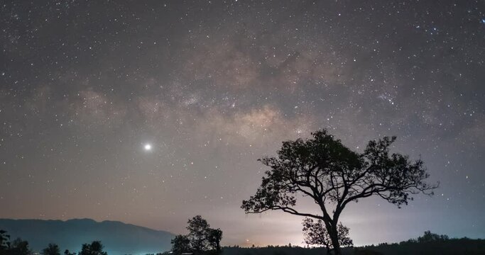 Beautiful Time-lapse of The Milky Way rising over a lonely tree with Venus from the night to dawn in Northern Thailand.