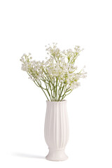 Subject shot of a graceful bouquet of tender white gypsophila in a white ceramic vase. The bouquet of flowers for interior decorating is isolated on the white background.