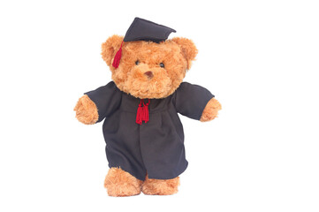 Teddy Bear Wearing Black Graduation Toga isolated white background..