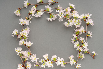 グレーの背景に置いた桜