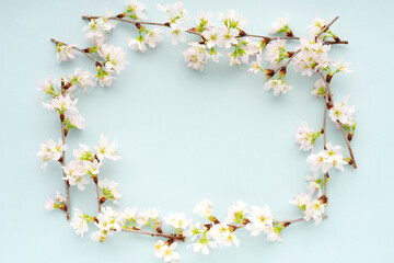 Obraz na płótnie Canvas 水色の背景に置いた桜