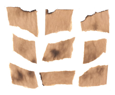 Set Burnt cardboard scraps. Small craft stickers. Ragged eddges paper.  Vintage Blank Note Cutout 