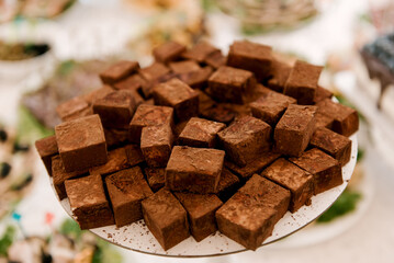 Beautiful candy bar decoration, homemade sweets with chocolate bird's milk