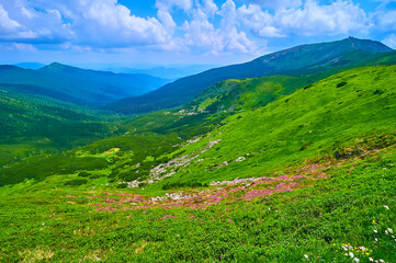 The picturesque col of Mount Pip Ivan, Chornohora Mountain Range, Carpathians, Ukraine