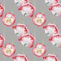 Watercolor seamless pattern with poppies on gray background. Summer, wild, botanical, floral hand painted print.Designs for scrapbooking, packaging, wrapping paper, social media, textiles, fabric.