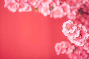 Spring Festival flowers poster background material