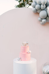 A large pink cake with a pink photo zone of silver balloons on the background. Party decorated with balloons
