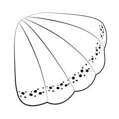 Seashell. Monochrome vector illustration in doodle style. Contour icons, badges. EPS 10