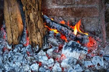 Burning wood. Wood fire.