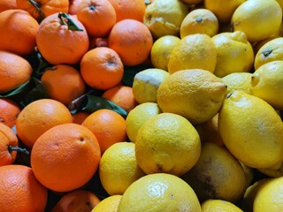 Oranges and lemons in the greengrocer aisle.