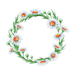 Hand-drawn watercolor floral wreath with chamomile flowers, leaves and buds. Wreath for decoration of wedding invitations, cards, packaging.
Watercolor floral design elements isolated on white.