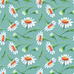 Watercolor seamless pattern with camomile flowers and leaves. Design for wrapping paper, wallpaper, textile, backdrop and other.
Watercolor floral design elements.