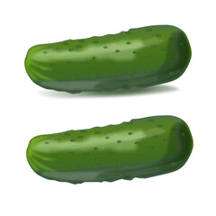 Cucumber green fresh one realistic vector simple shadow