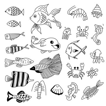 Under the sea fishes hand made vector doodle drawing illustration set collection