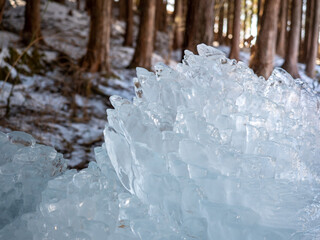 森の中に出来た氷のオブジェ