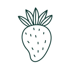 strawberry fruit delicious