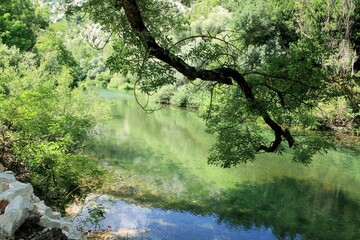 green water of the Cetina river near Omis, Croatia