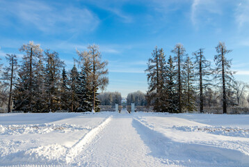 Catherine Park in winter, Pushkin (Tsarskoe Selo), Saint Petersburg, Russia