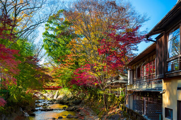 静岡県伊豆市修善寺　紅葉シーズンの修善寺温泉街
