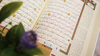 exreme close up holy quran with indonesian translate